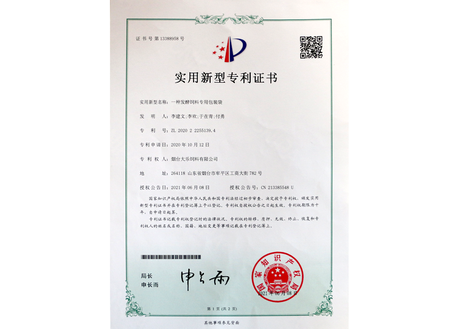  实用新...
