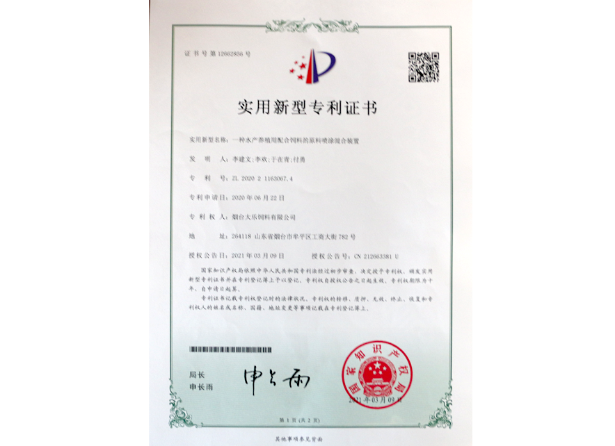  实用新...