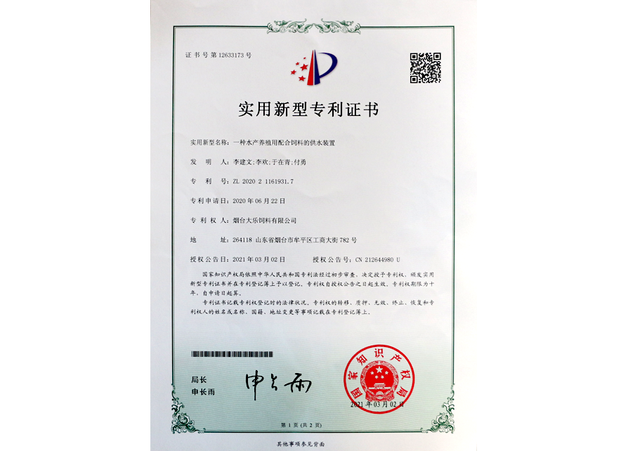  实用新...